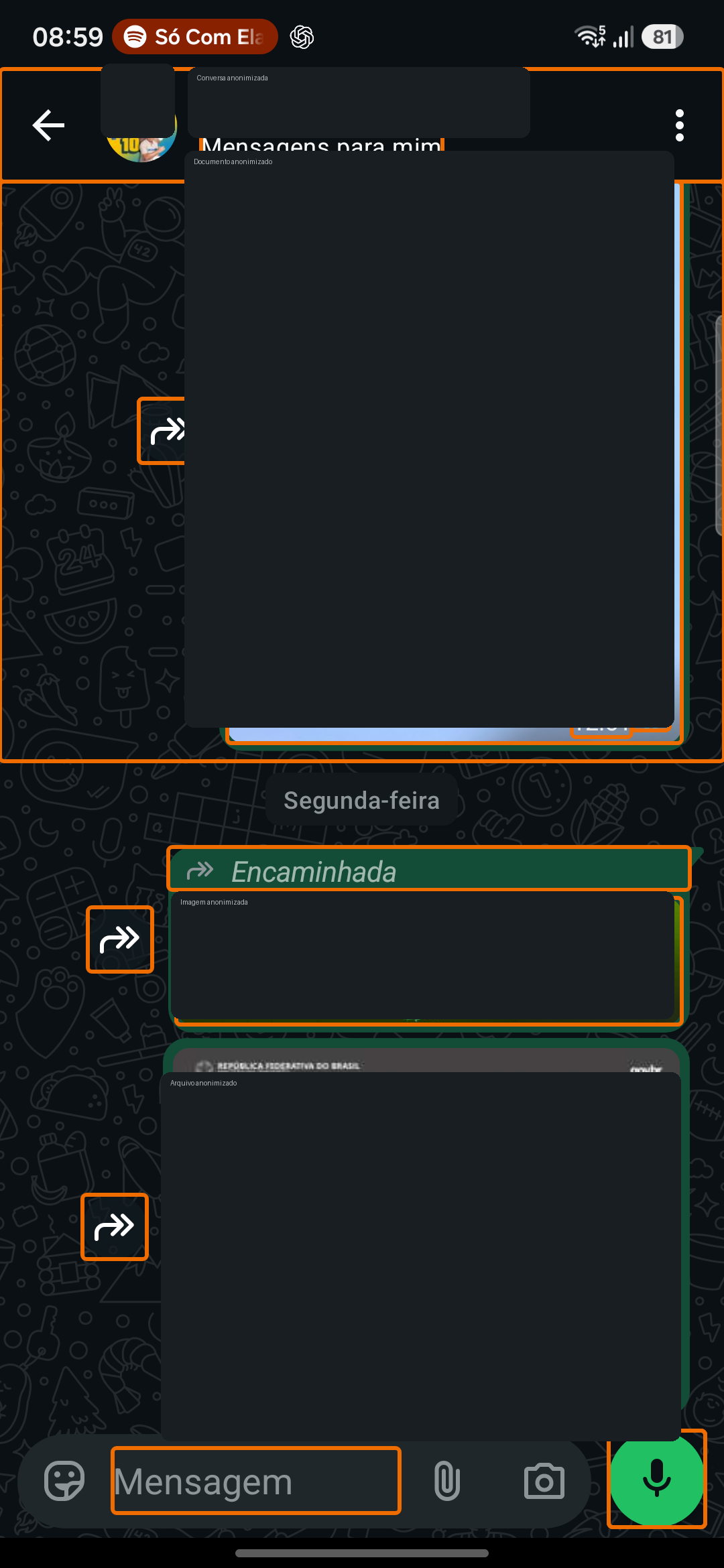 Conversa anonimizada com textos e elementos gráficos destacados pelo Scanner.